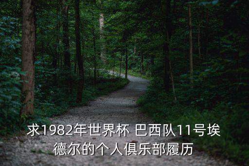 求1982年世界杯 巴西隊11號埃德爾的個人俱樂部履歷