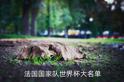 給我最新的法國(guó)足球隊(duì)陣容,法國(guó)足球隊(duì)2022世界杯陣容