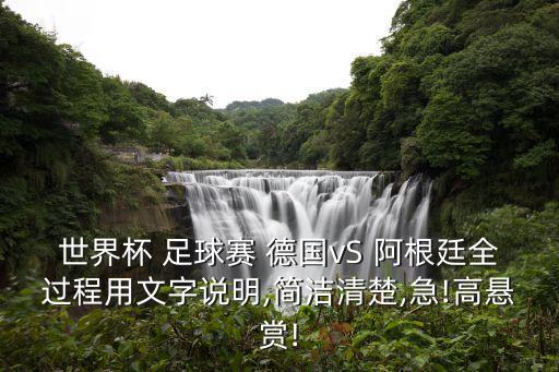 世界杯 足球賽 德國(guó)vS 阿根廷全過(guò)程用文字說(shuō)明,簡(jiǎn)潔清楚,急!高懸賞!