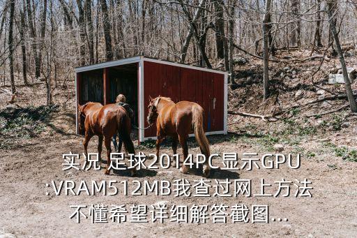  實況 足球2014PC顯示GPU:VRAM512MB我查過網上方法不懂希望詳細解答截圖...