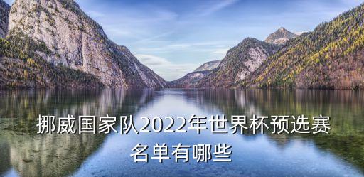  挪威國家隊2022年世界杯預(yù)選賽名單有哪些