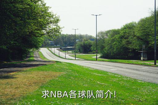 求NBA各球隊(duì)簡(jiǎn)介!