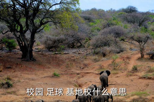 校園 足球 基地校什么意思