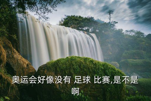 奧運(yùn)會(huì)好像沒有 足球 比賽,是不是啊