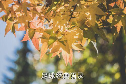 足球經(jīng)典語錄