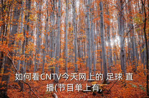 如何看CNTV今天網(wǎng)上的 足球 直播(節(jié)目單上有,