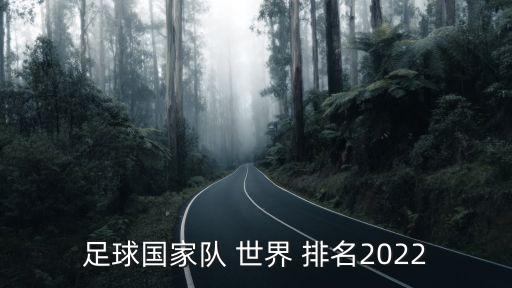 足球國(guó)家隊(duì) 世界 排名2022