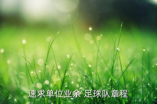 速求單位業(yè)余 足球隊(duì)章程