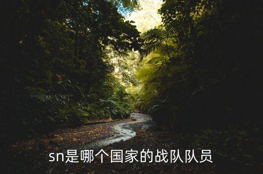 sn是哪個(gè)國(guó)家的戰(zhàn)隊(duì)隊(duì)員