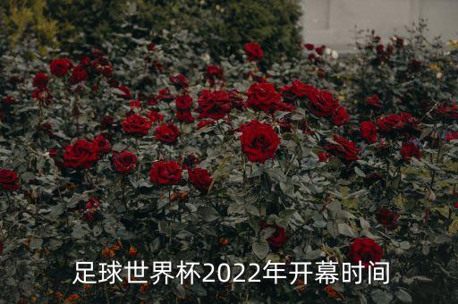  足球世界杯2022年開幕時(shí)間