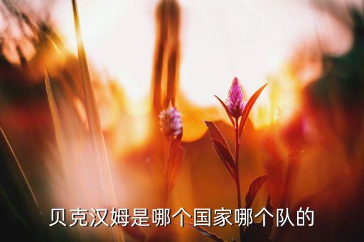 洛杉磯休斯頓迪納摩足球直播