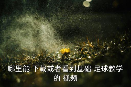 哪里能 下載或者看到基礎(chǔ) 足球教學(xué)的 視頻