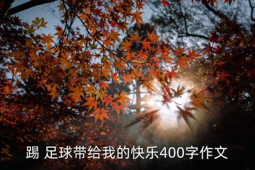 踢 足球帶給我的快樂(lè)400字作文