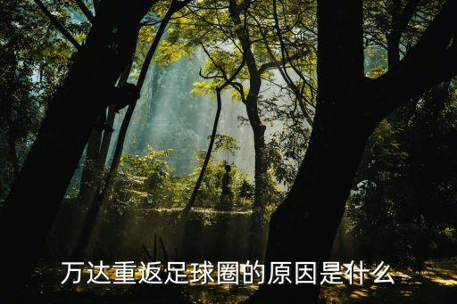 萬(wàn)達(dá)重返足球圈的原因是什么