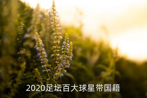 2020足壇百大球星帶國籍