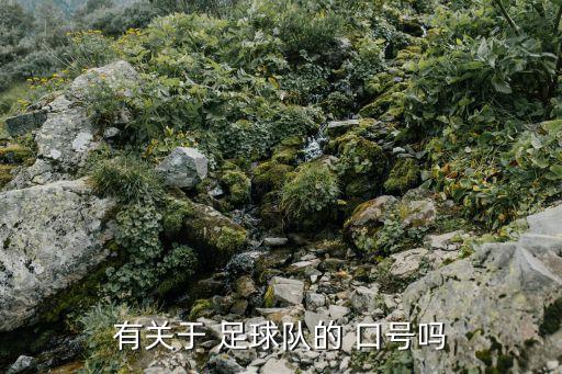 中國足球加油口號,為中國足球加油的歌曲