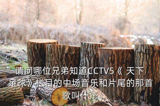 請(qǐng)問(wèn)哪位兄弟知道CCTV5《 天下 足球》欄目的中場(chǎng)音樂(lè)和片尾的那首歌叫什...