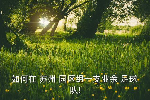 如何在 蘇州 園區(qū)組一支業(yè)余 足球隊(duì)!