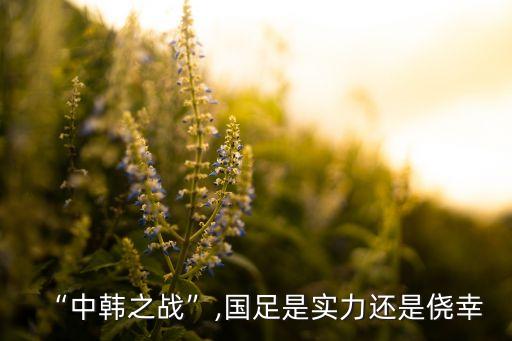 “中韓之戰(zhàn)”,國足是實力還是僥幸