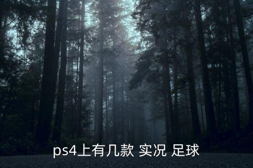 實況足球2019更新dlc3.0,Ps4實況足球2019能更新嗎