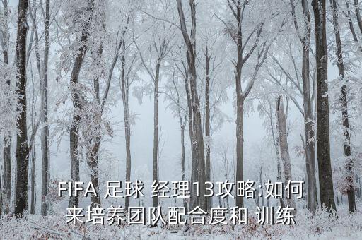 FIFA 足球 經(jīng)理13攻略:如何來培養(yǎng)團隊配合度和 訓(xùn)練