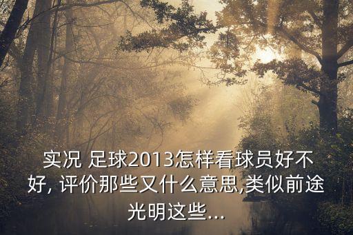  實況 足球2013怎樣看球員好不好, 評價那些又什么意思,類似前途光明這些...