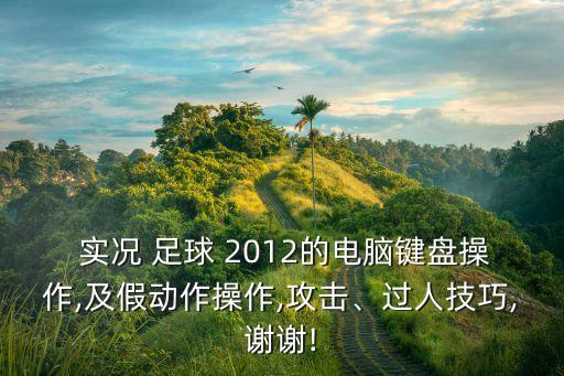  實況 足球 2012的電腦鍵盤操作,及假動作操作,攻擊、過人技巧,謝謝!