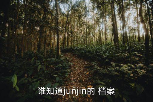 誰知道junjin的 檔案