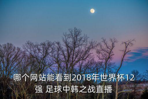 哪個(gè)網(wǎng)站能看到2018年世界杯12強(qiáng) 足球中韓之戰(zhàn)直播