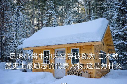  足球小將中的大空翼被稱為 日本動漫史上最勵志的代表人物,這是為什么...