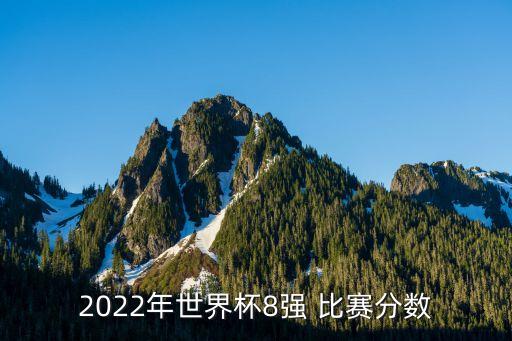 2022年世界杯8強 比賽分數(shù)