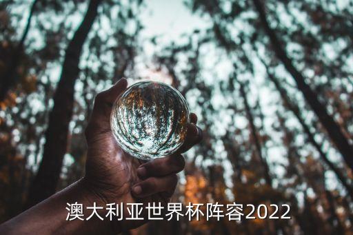  澳大利亞世界杯陣容2022