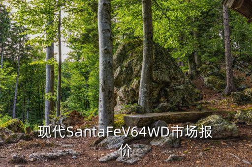 現(xiàn)代SantaFeV64WD市場報價