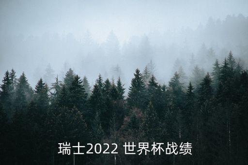  瑞士2022 世界杯戰(zhàn)績