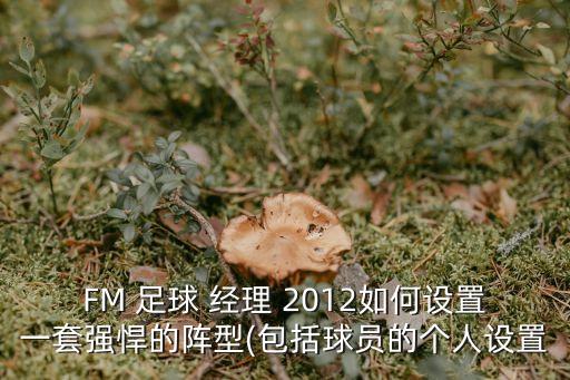 FM 足球 經(jīng)理 2012如何設(shè)置一套強(qiáng)悍的陣型(包括球員的個(gè)人設(shè)置