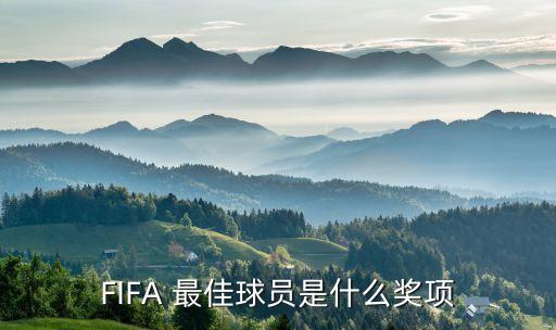 FIFA 最佳球員是什么獎項