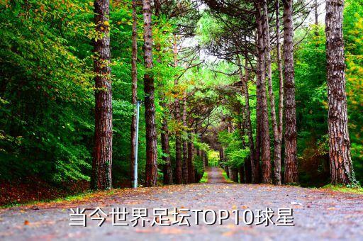 當(dāng)今世界足壇TOP10球星