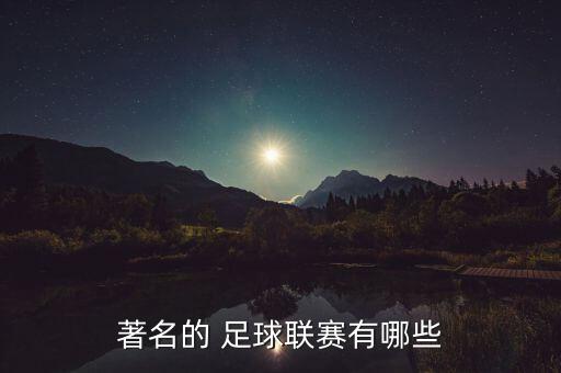 著名的 足球聯(lián)賽有哪些