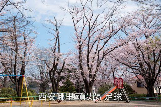 望京南湖公園足球場有室內(nèi)足球館