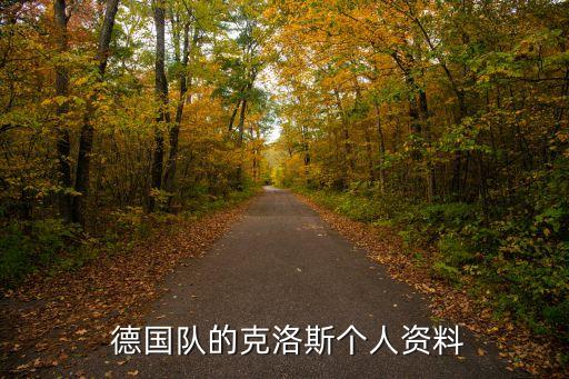  德國隊(duì)的克洛斯個(gè)人資料