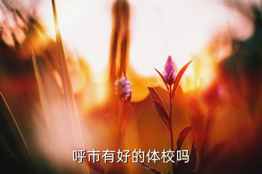 呼和浩特有足球?qū)W校嗎,內(nèi)蒙古呼和浩特足球訓(xùn)練基地