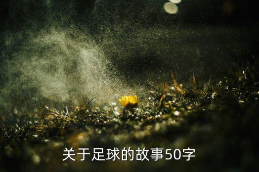 關(guān)于足球的故事50字