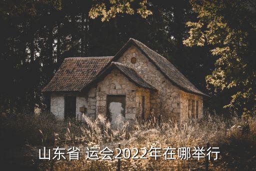  山東省 運會2022年在哪舉行