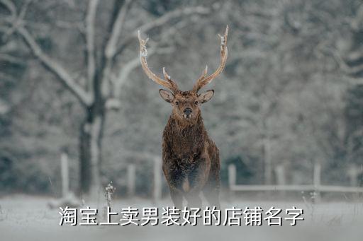 克羅地亞足球服淘寶,加拿大和克羅地亞足球誰厲害