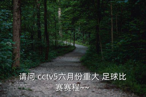 中國vs韓國足球cctv