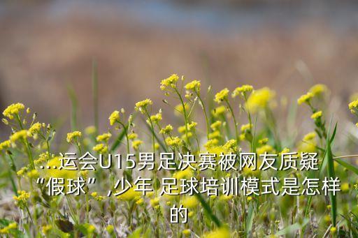 ...運會U15男足決賽被網友質疑“假球”,少年 足球培訓模式是怎樣的