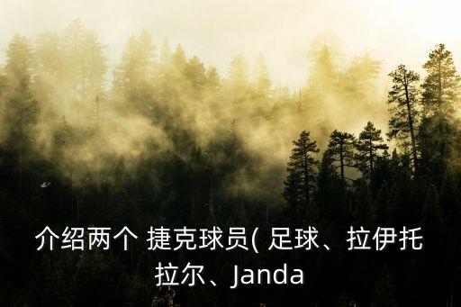 介紹兩個 捷克球員( 足球、拉伊托拉爾、Janda