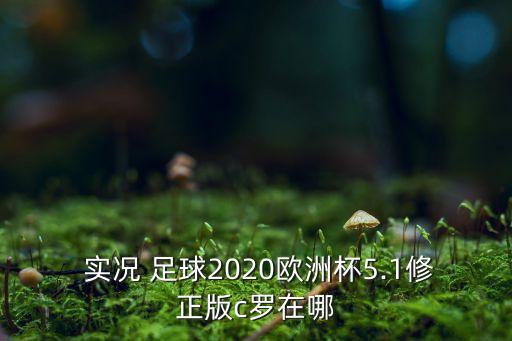  實況 足球2020歐洲杯5.1修正版c羅在哪