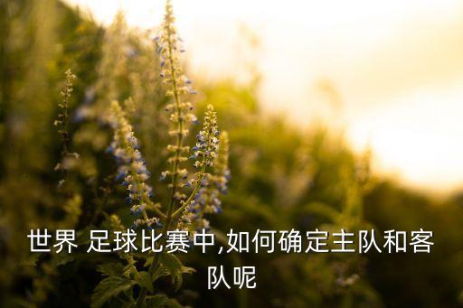 世界 足球比賽中,如何確定主隊和客隊呢