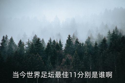 當(dāng)今世界足壇最佳11分別是誰啊